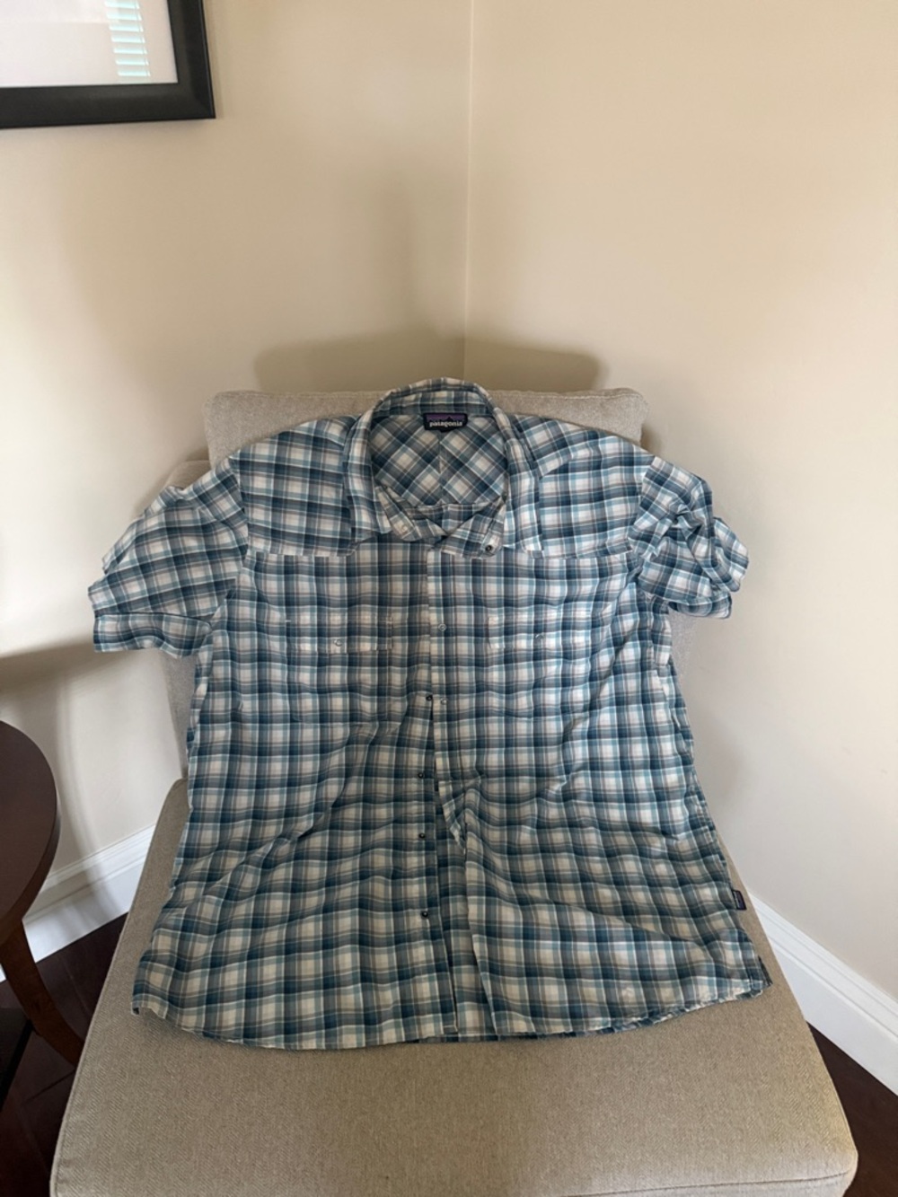 Patagonia Blue & White Plaid Short-Sleeve Button-Down Shirt
